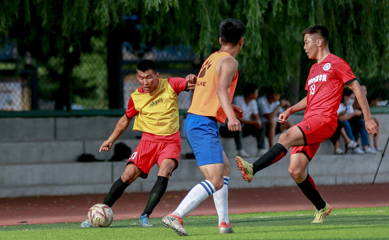 [CBA]山东高速主场战胜江苏肯帝亚